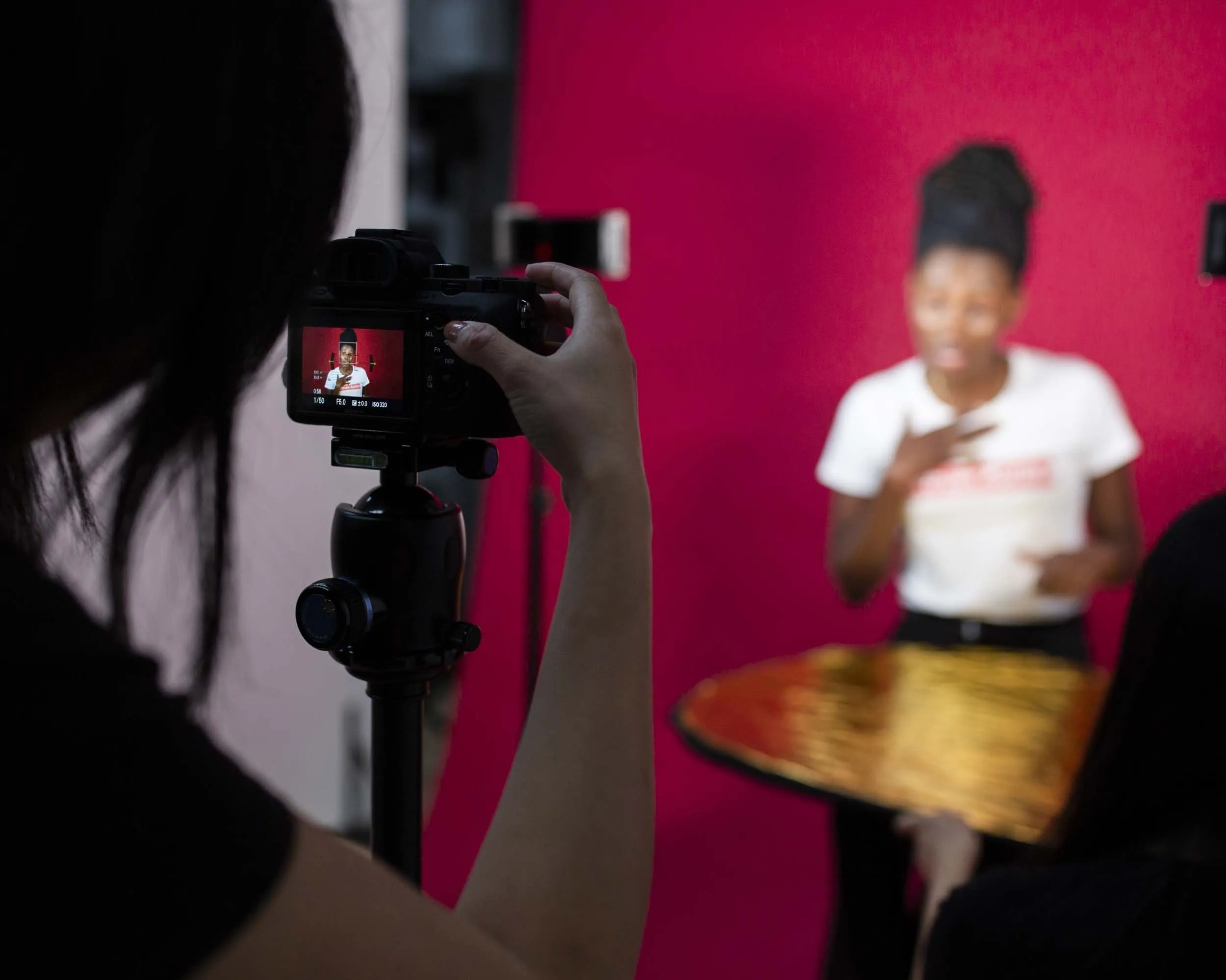 13" LED Photography Video DIY Studio Lighting Kit - 2x 'DUO' Crystal Luxe