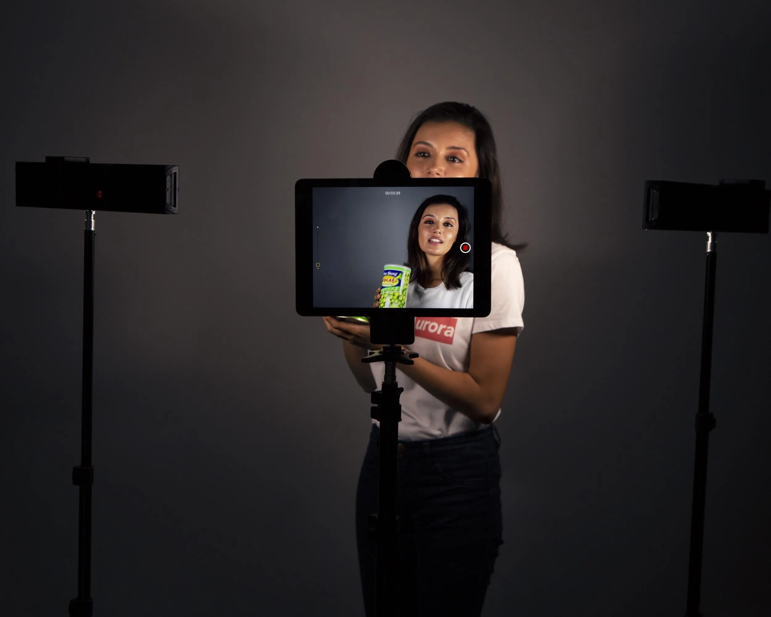13" LED Photography Video DIY Studio Lighting Kit - 2x 'DUO' Crystal Luxe