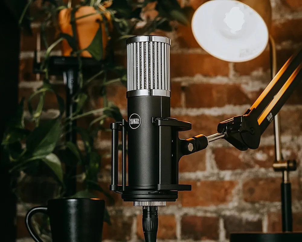 512 Audio - Skylight Microphone
