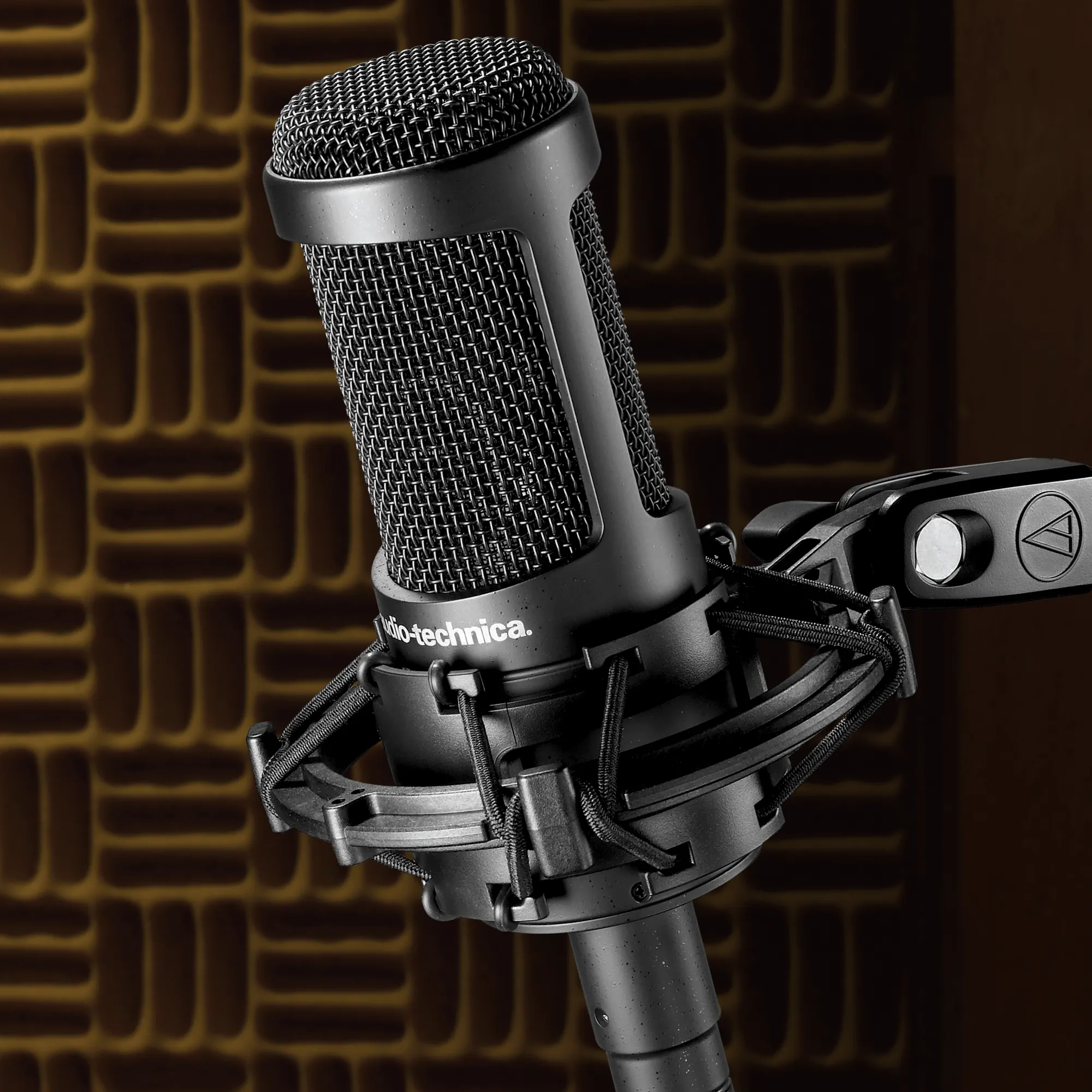Audio-Technica AT2050 Multi-Pattern Large-diaphragm Condenser Microphone