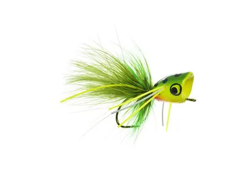Bass Popper