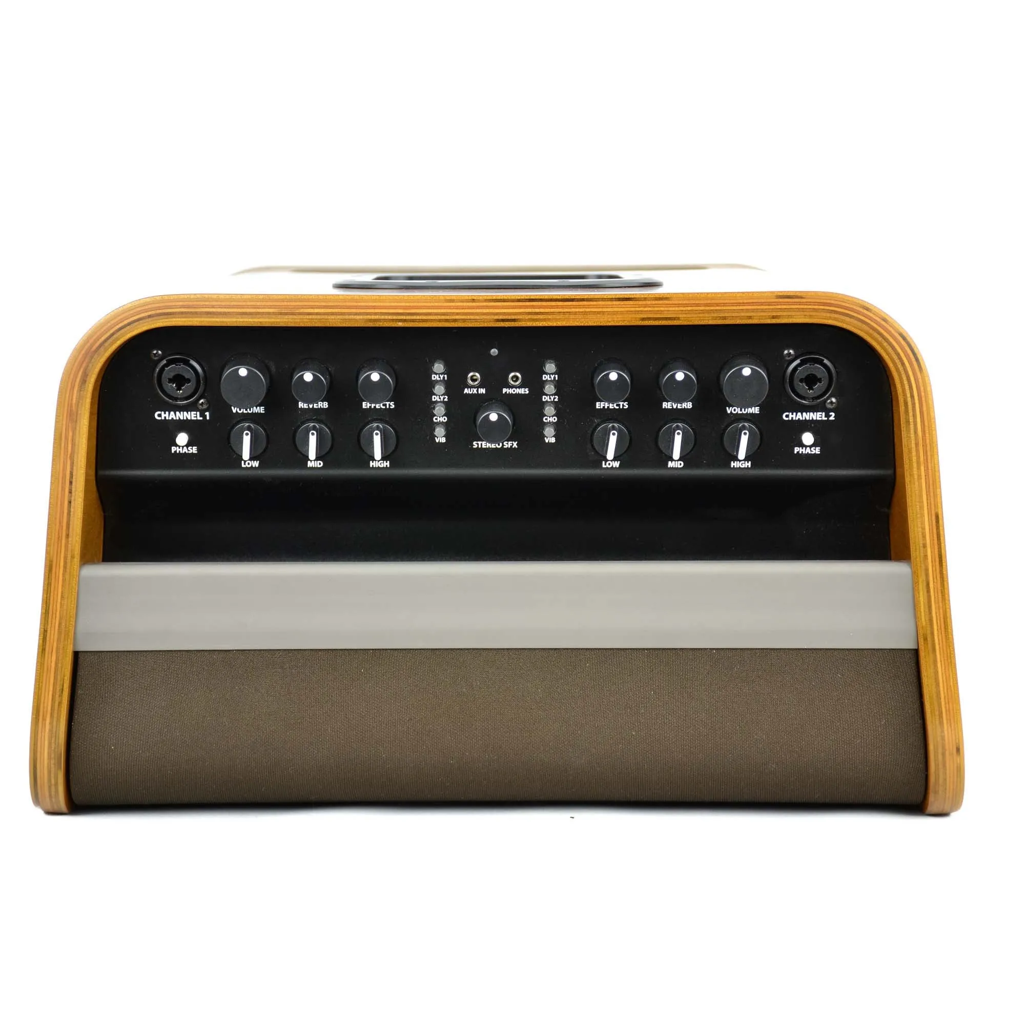 Fender Acoustic SFX - 120V