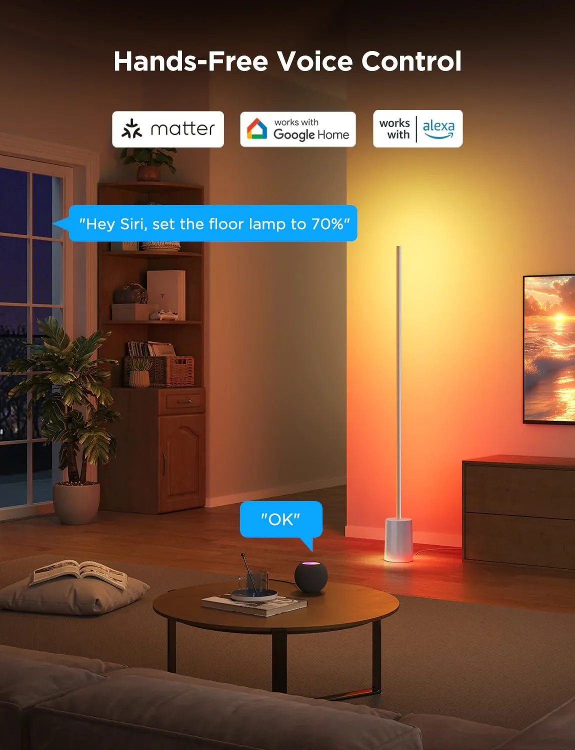 Govee RGBICWW Floor Lamp Support Matter
