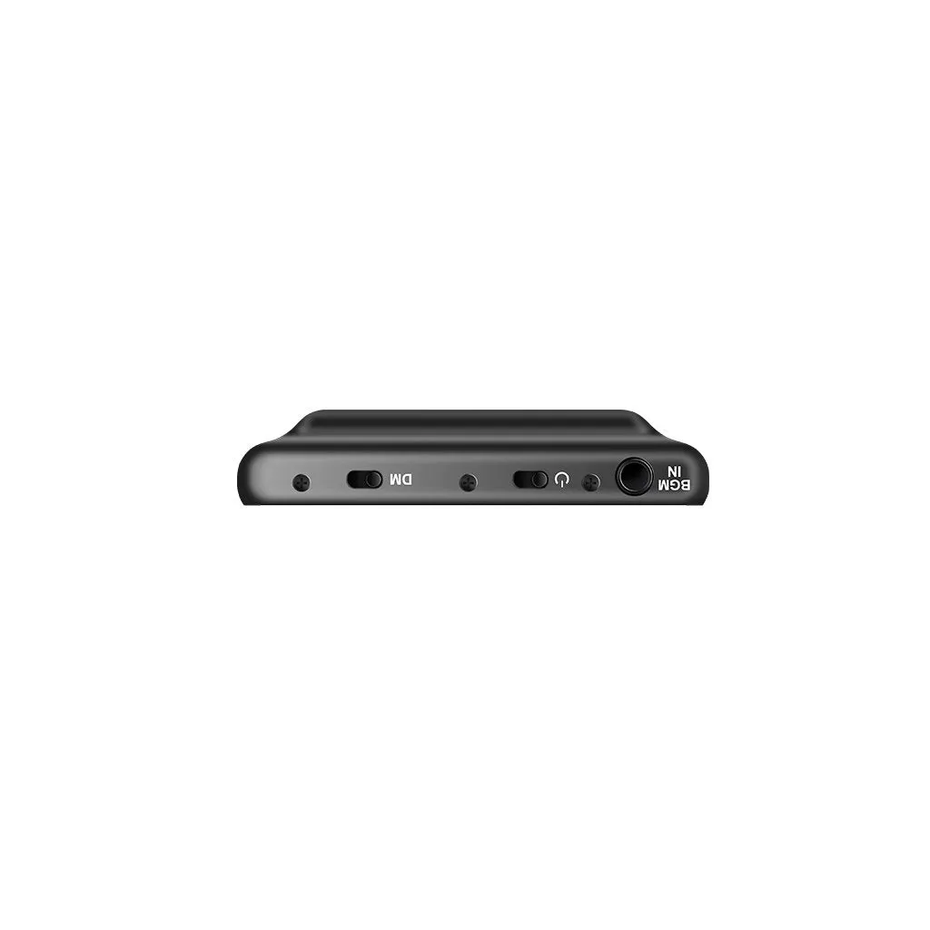 Icon Pro Audio LIVEPOD PLUS Digital Effects Processor