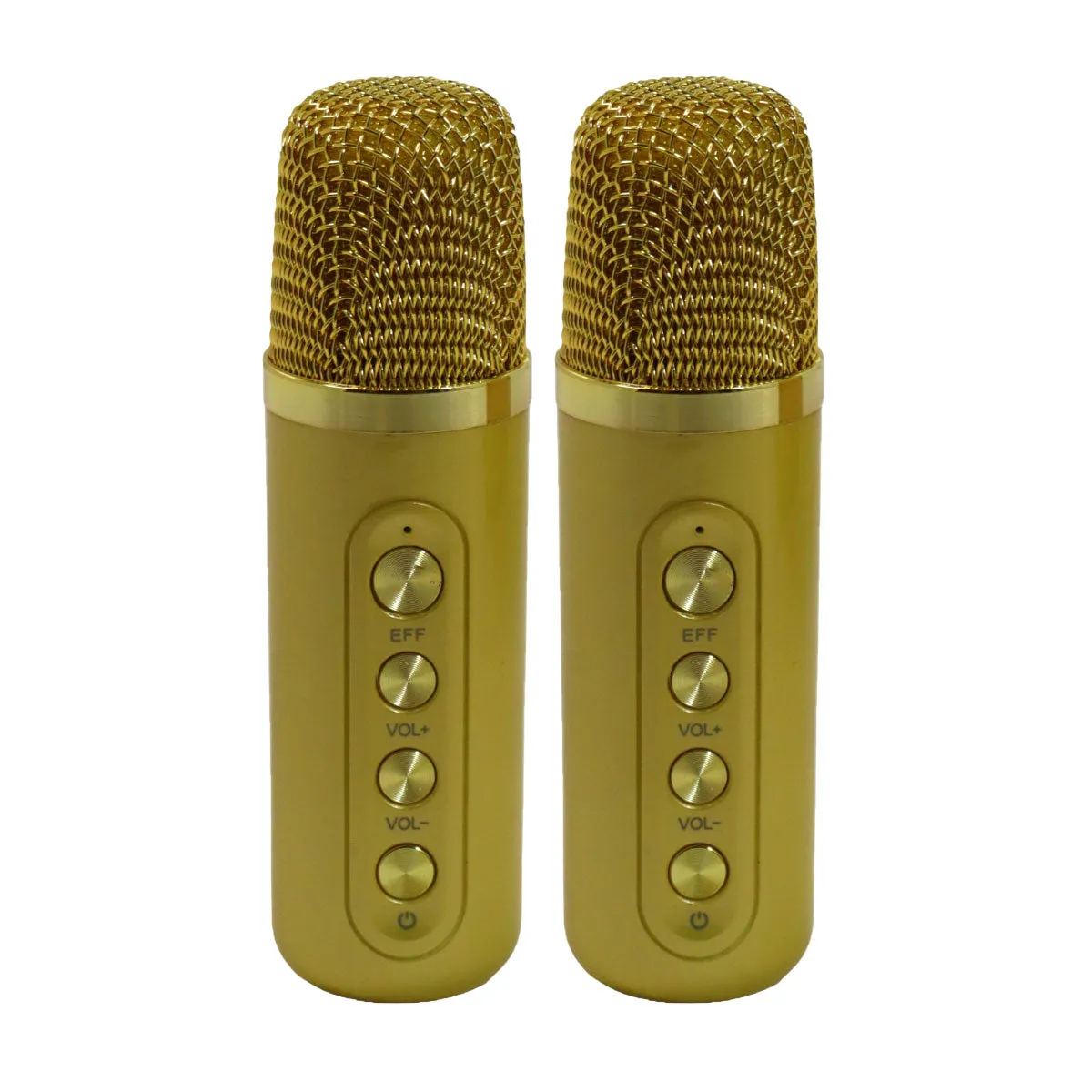 Karaoke Speaker M23
