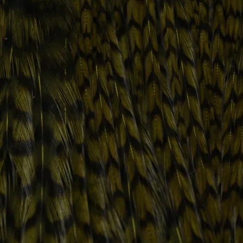 Keough Tyers Grade Cape 1/2 Grizzly 1/2 Brown