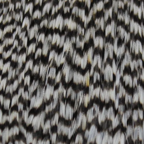 Keough Tyers Grade Cape 1/2 Grizzly 1/2 Brown