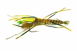 Kory's Crawdad