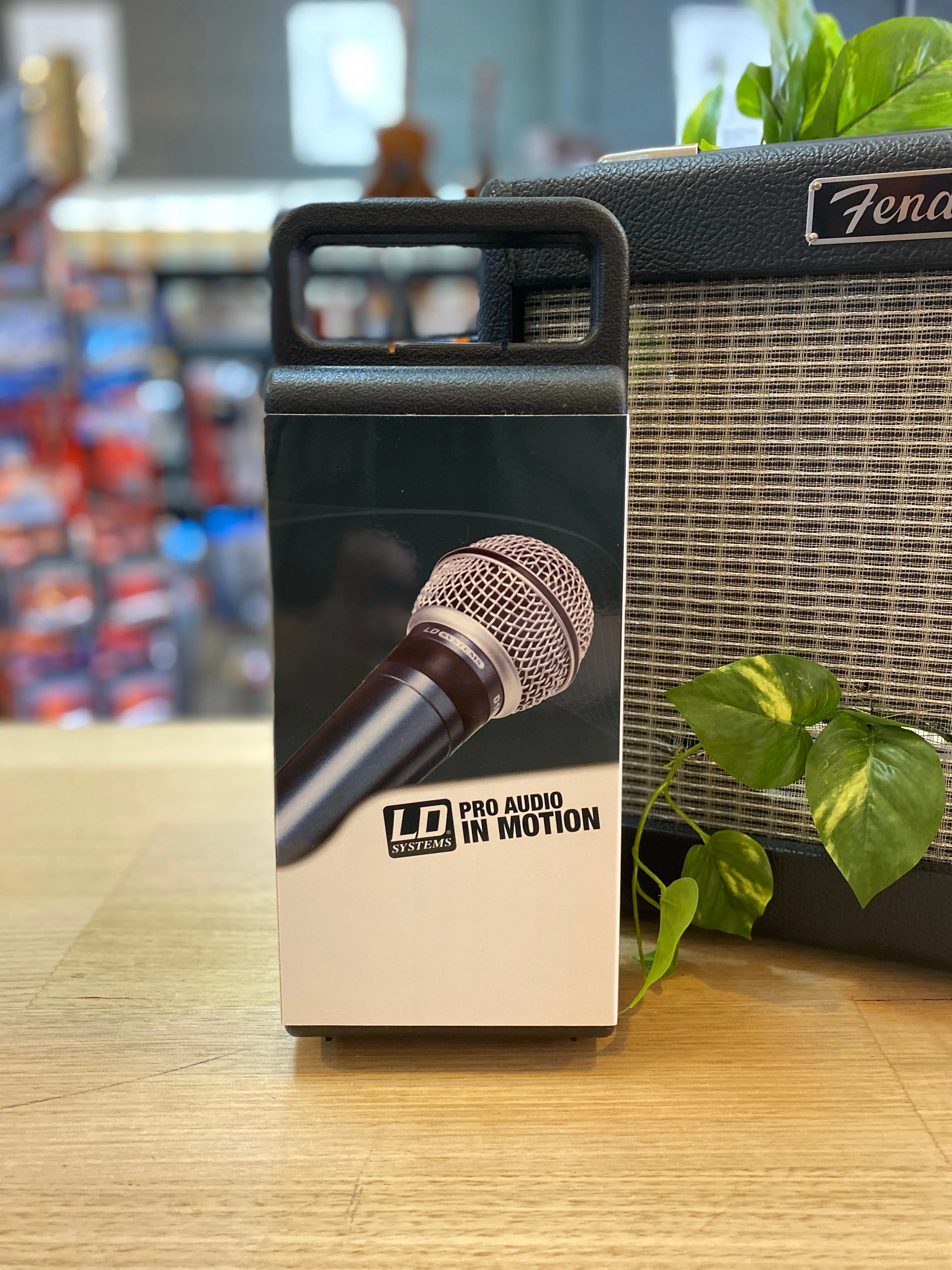 LD Sytems | D1001 | Dynamic Microphone