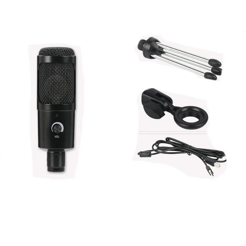 Microphone for Live Recording