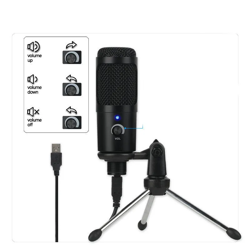 Microphone for Live Recording
