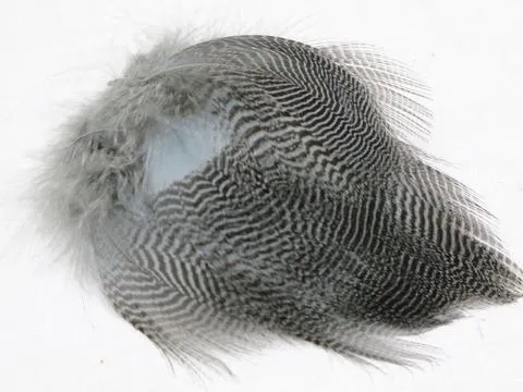 Nature's Spirit Teal Barred Flank - Select Feathers