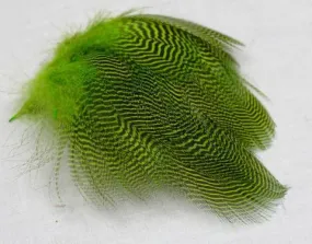 Nature's Spirit Teal Barred Flank - Select Feathers