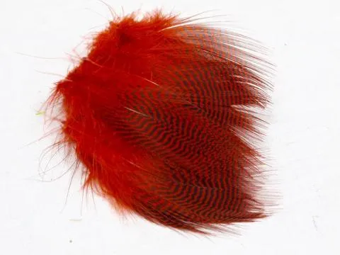 Nature's Spirit Teal Barred Flank - Select Feathers