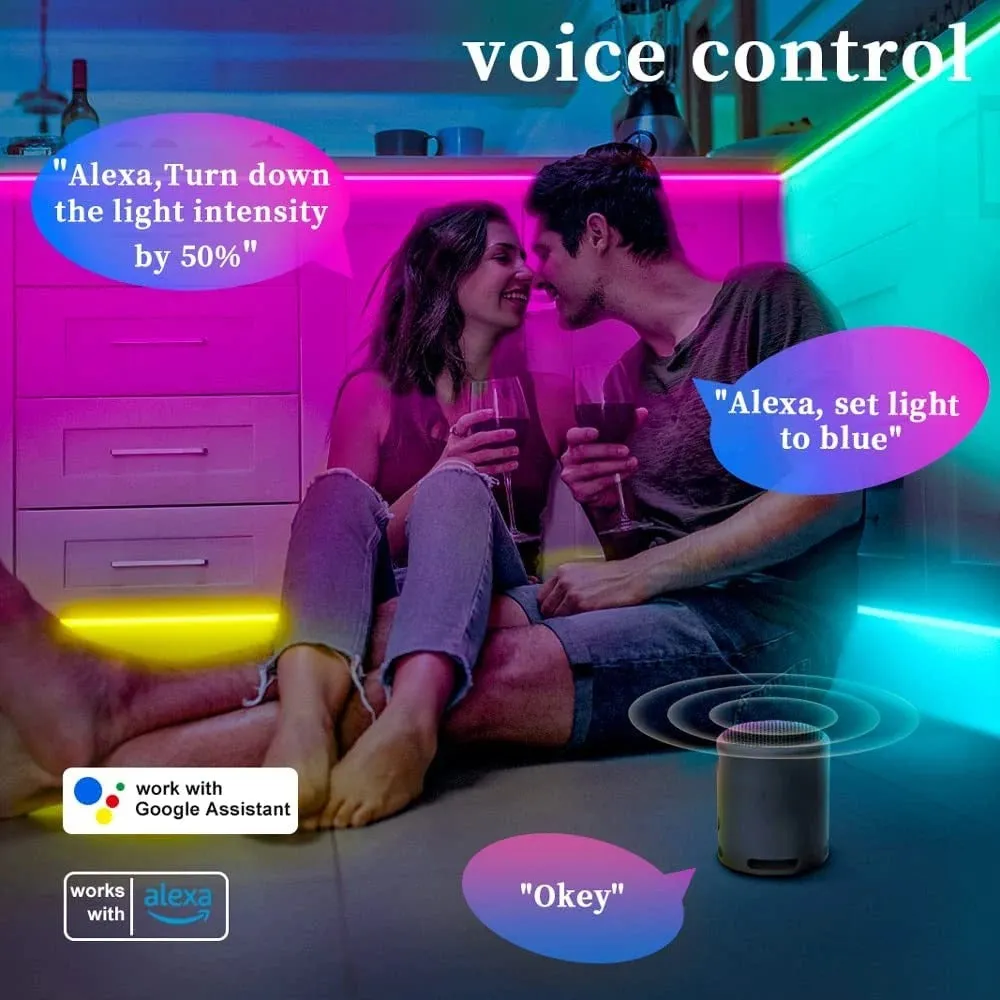 RGB Neon Strip 24W WIFI Smart LED
