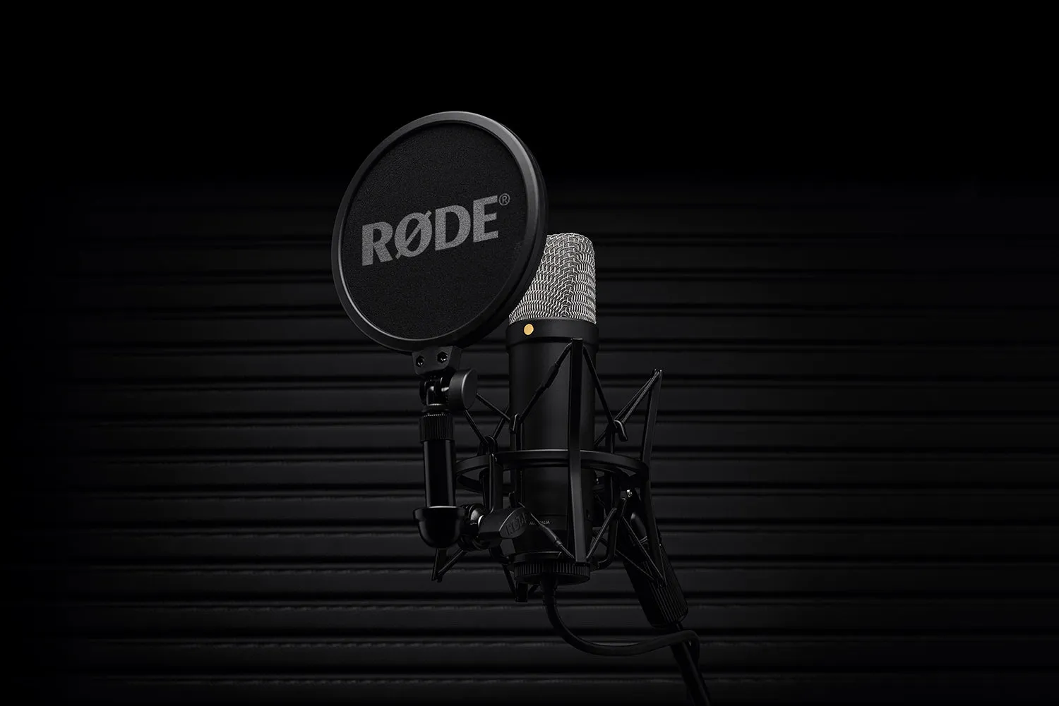 Rode NT1 5th Generation (NT1GEN5B) Black Hybrid Studio Condenser Microphone