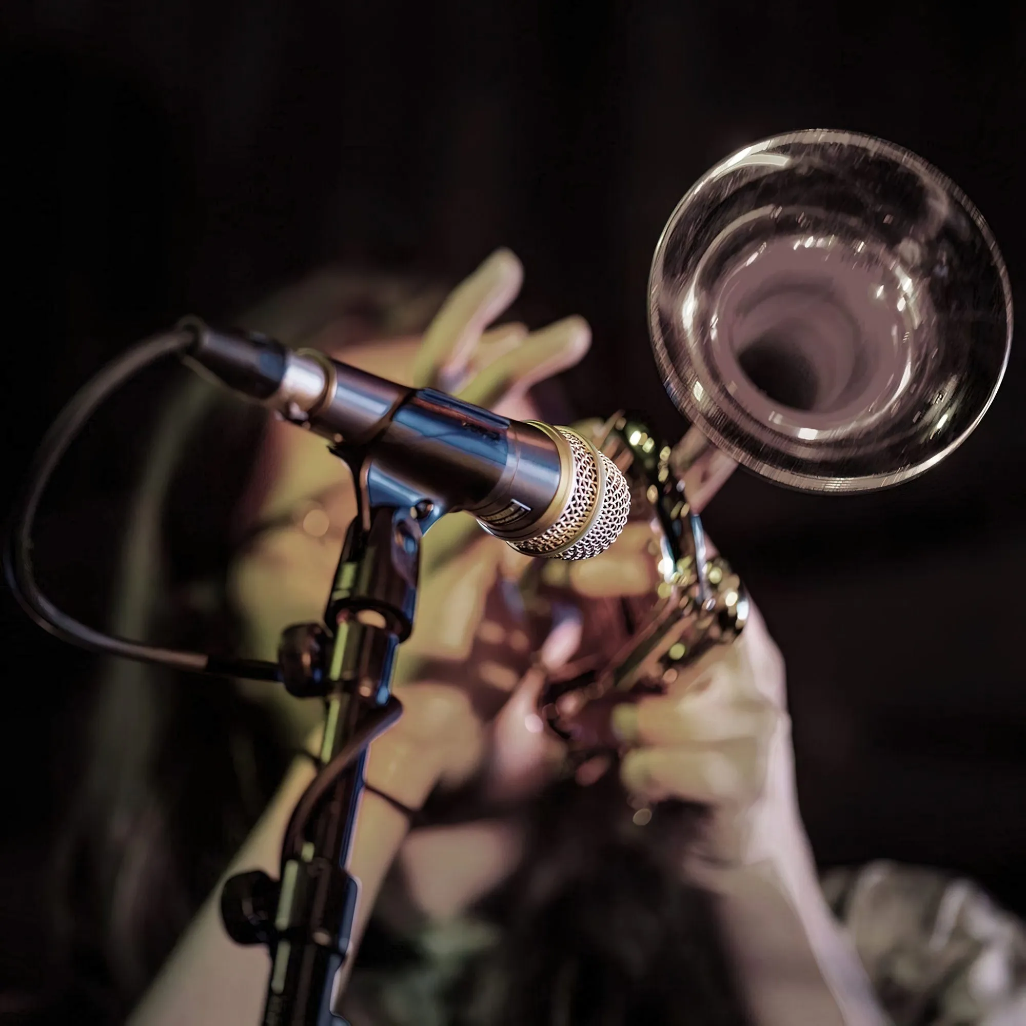 Shure Instrument Microphone, Supercardioid Dynamic Mic for Vocal and Instrumental Applications with High Output Neodymium Element, Durable Steel Mesh Grille and Shock Mount