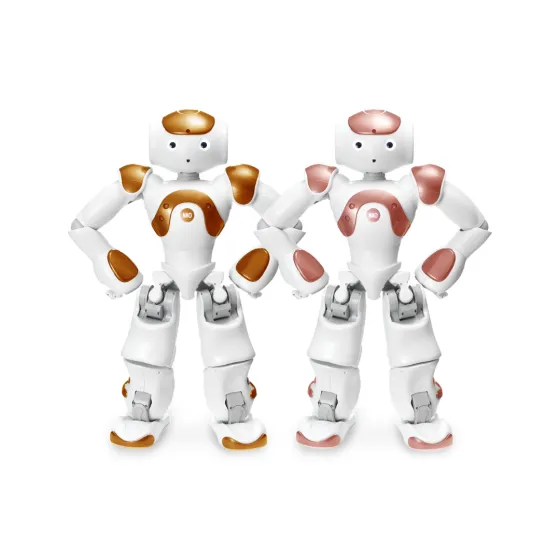 SoftBank Robotics NAO AI Edition