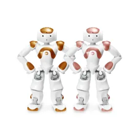 SoftBank Robotics NAO AI Edition