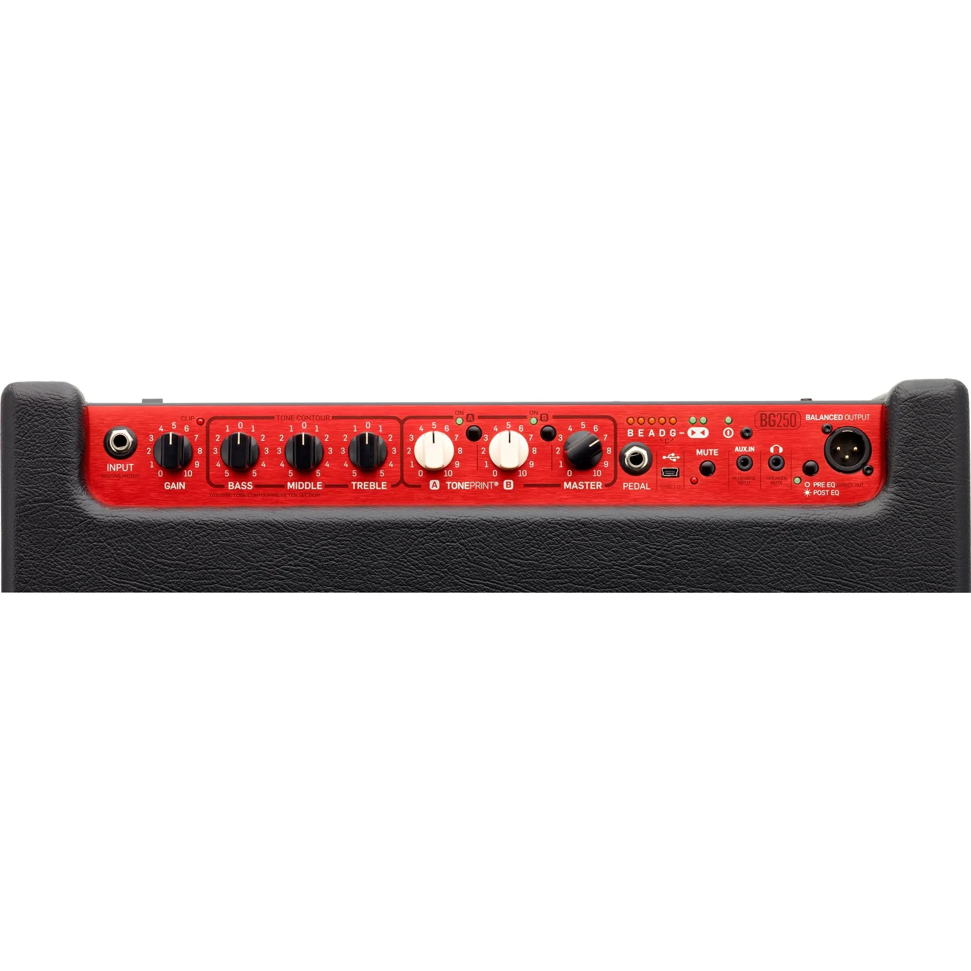 TC Electronic BG250 1x15 Light Bass Combo with Toneprint