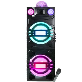 TOPTECH ACE-210: 2x10 Inch Rechargeable Bluetooth Speaker with Disco Lights