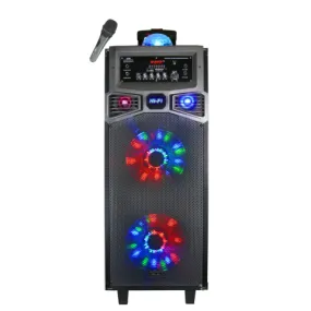 TOPTECH BALL-210, 2×10" Bluetooth Speaker with 2000W, LED Lights & Disco Ball, Wireless MIC