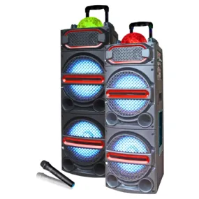 TOPTECH SKY-210, 2x10 Inch Bluetooth Party Speaker with Disco Lights, Wireless Mic, and Trolley