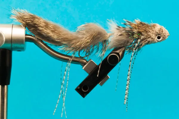Trophy Craw