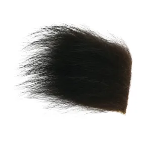 Wapsi Black Bear