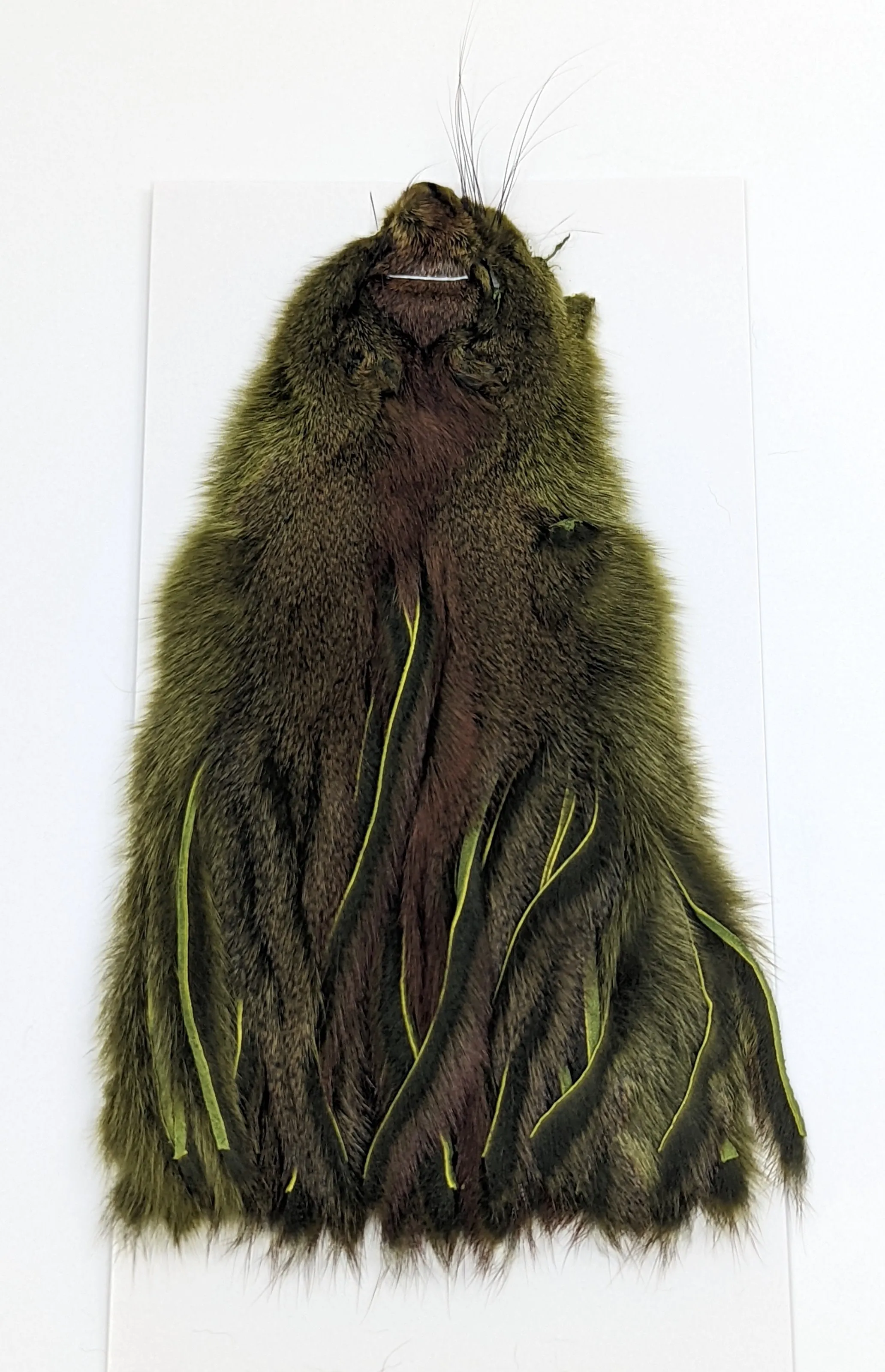 Wapsi Pine Squirrel Skin Zonked