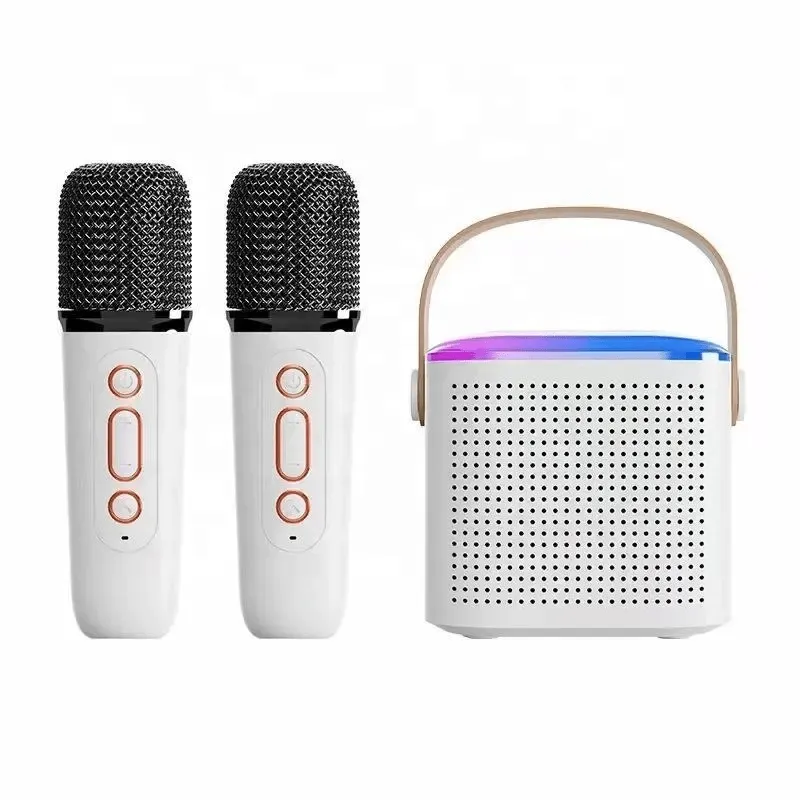 Wireless Portable Karaoke Machine With Dual Microphone - Y1
