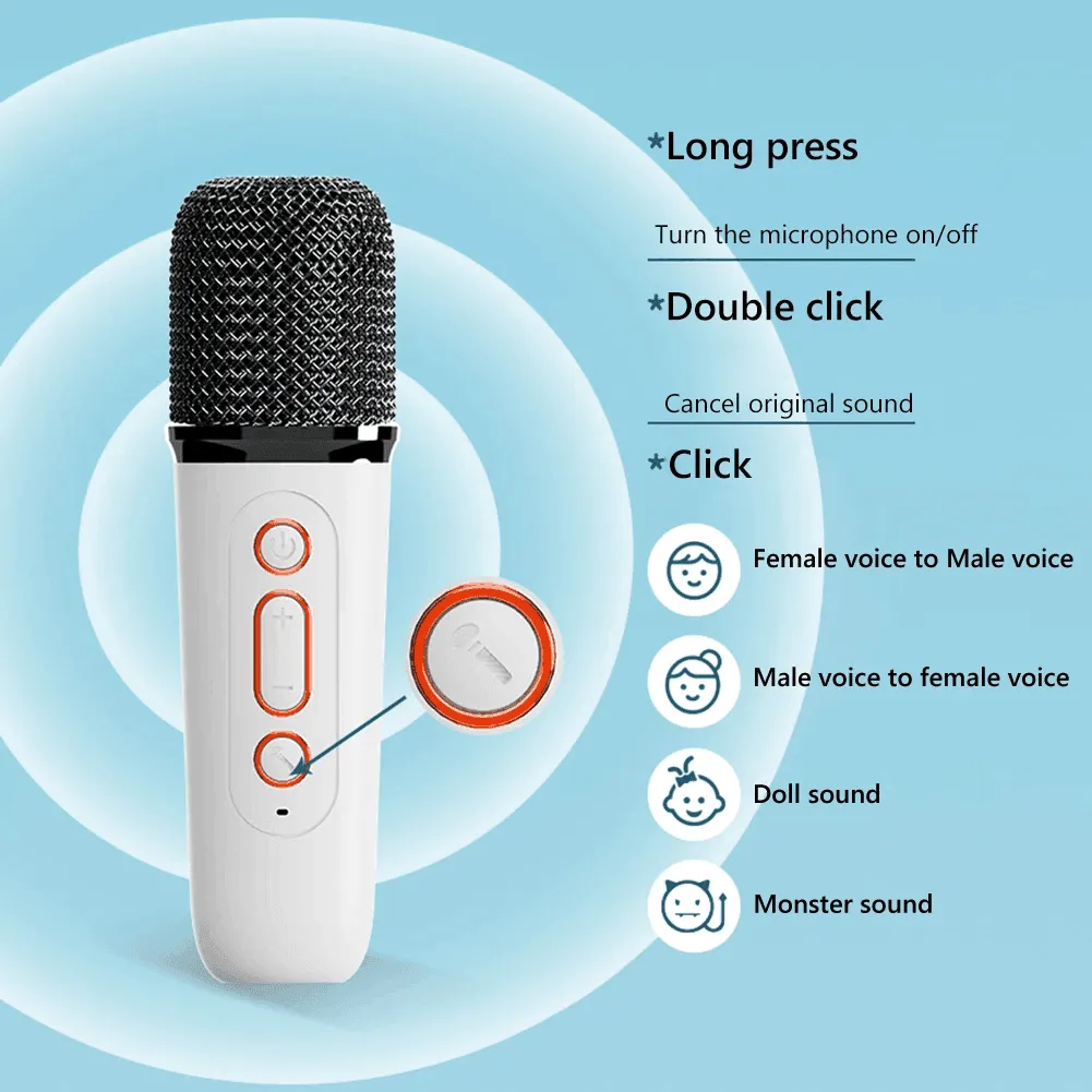 Wireless Portable Karaoke Machine With Microphone